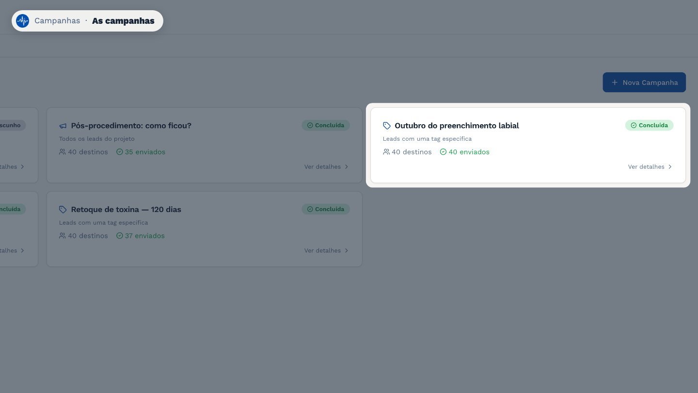 Cada campanha mostra o público, o status e quantas mensagens já saíram.